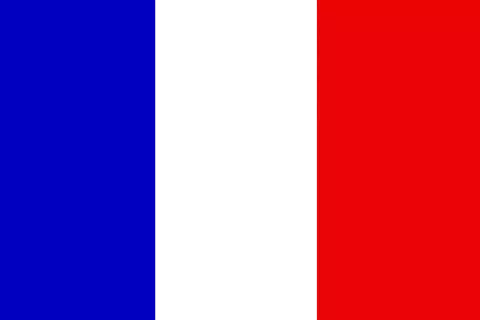Bandiera Francia