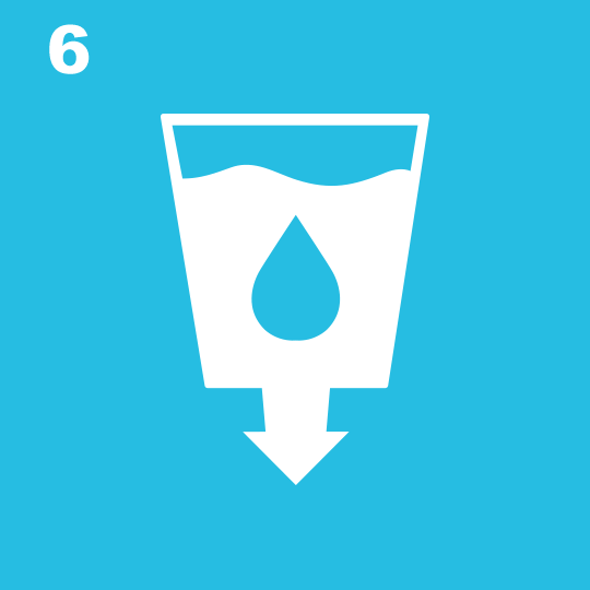 Obiettivo 6