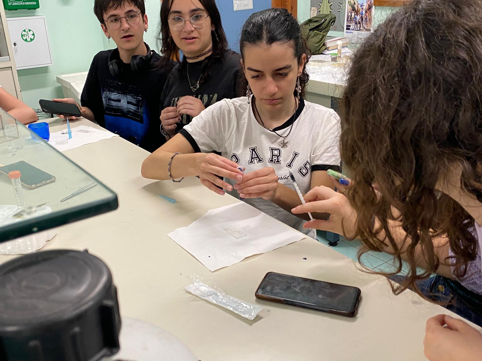 In laboratorio con l’inglese: apprendimento collaborativo delle scienze in L2 Piani per l'Orientamento e il Tutorato – POT 7 – UNI-SCO