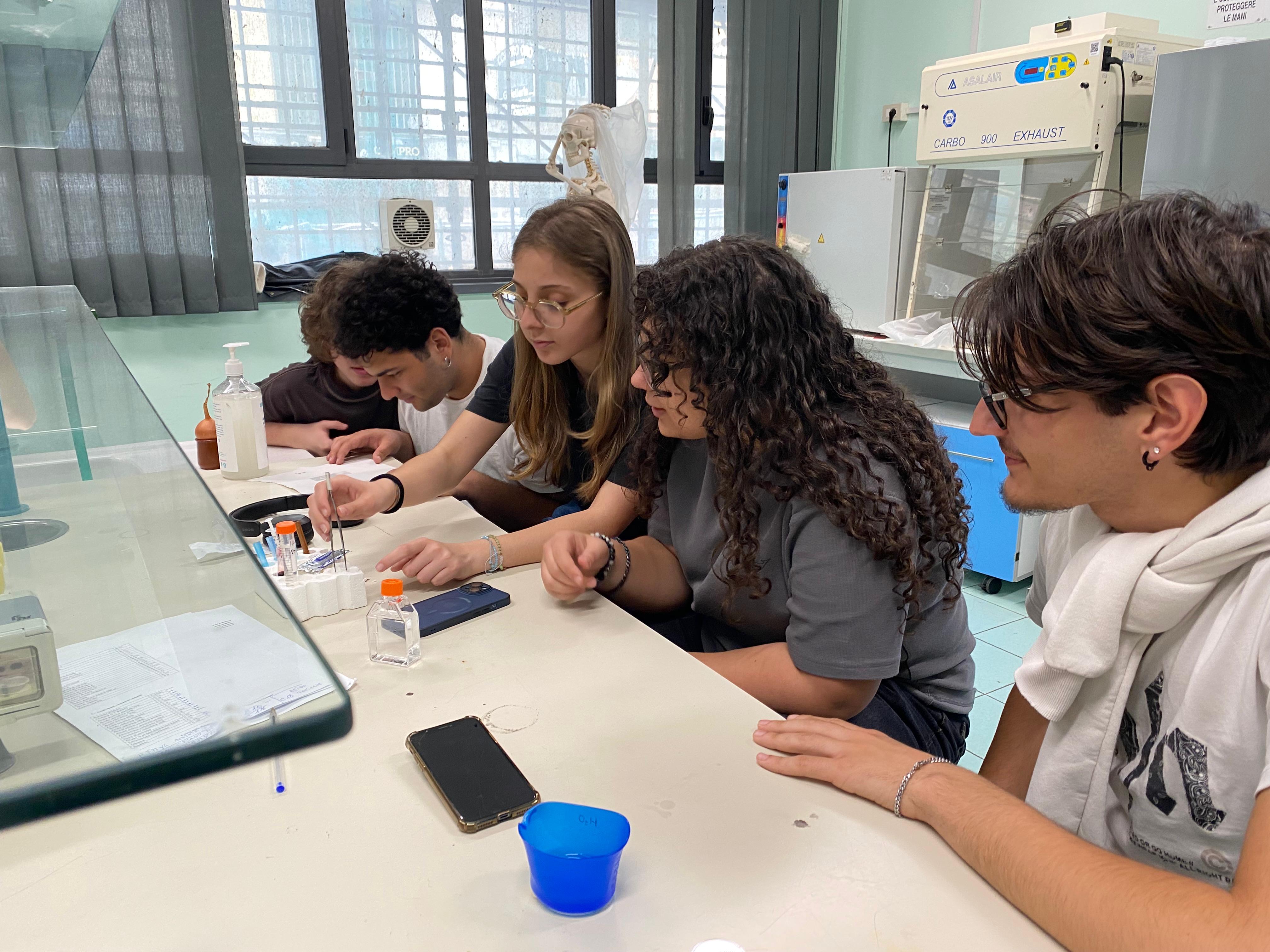 In laboratorio con l’inglese: apprendimento collaborativo delle scienze in L2 Piani per l'Orientamento e il Tutorato – POT 7 – UNI-SCO