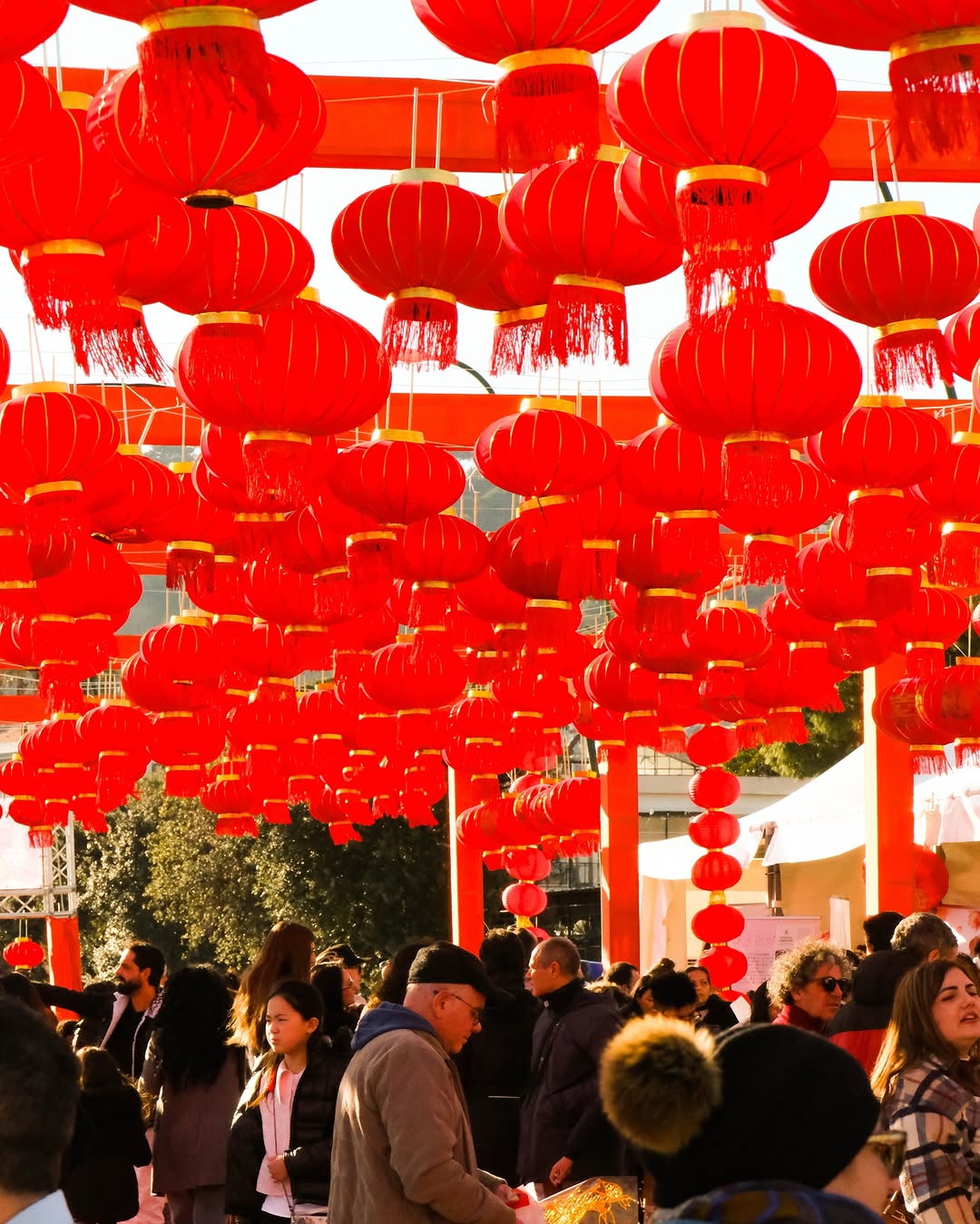 15 e 16 febbraio 2025 - capodanno cinese istituto confucio università di napoli l'orientale