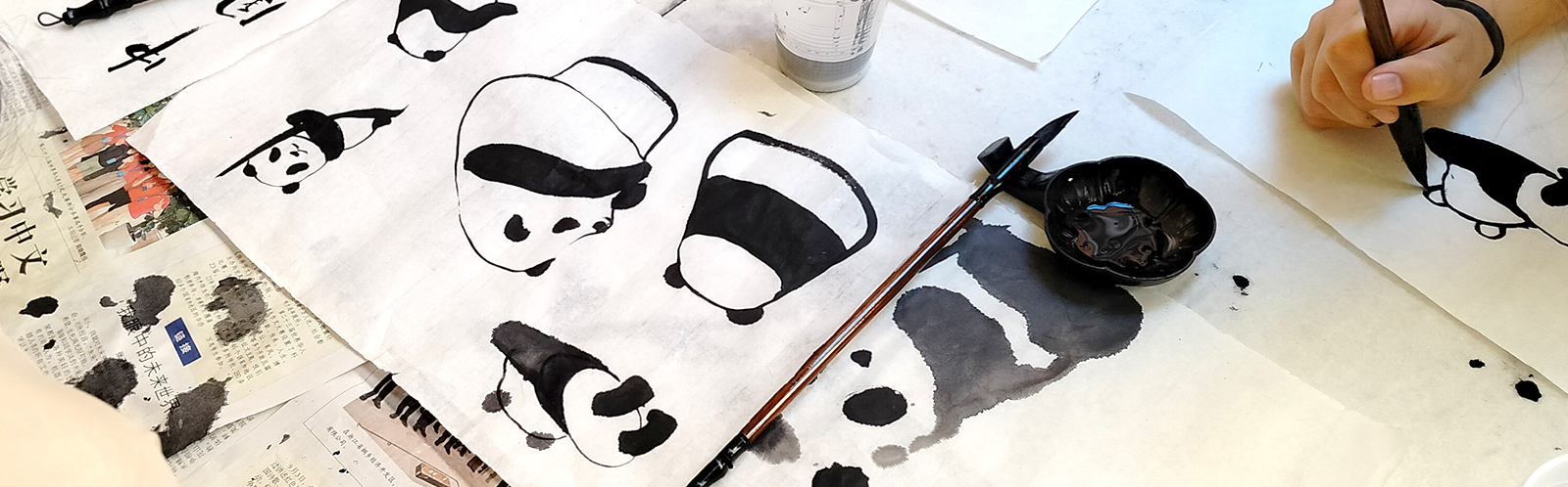 Banner Pagina Gallery