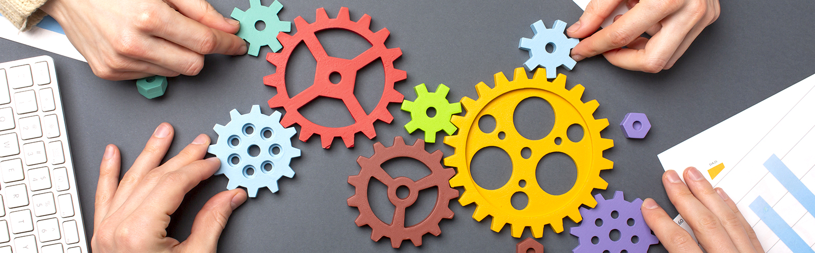 Banner Organizzazione Pleiadi