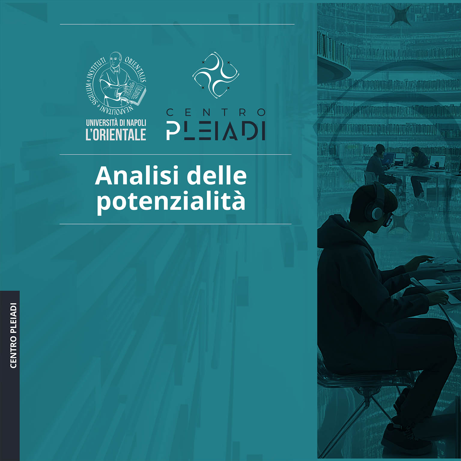 ANALISI delle POTENZIALITA'