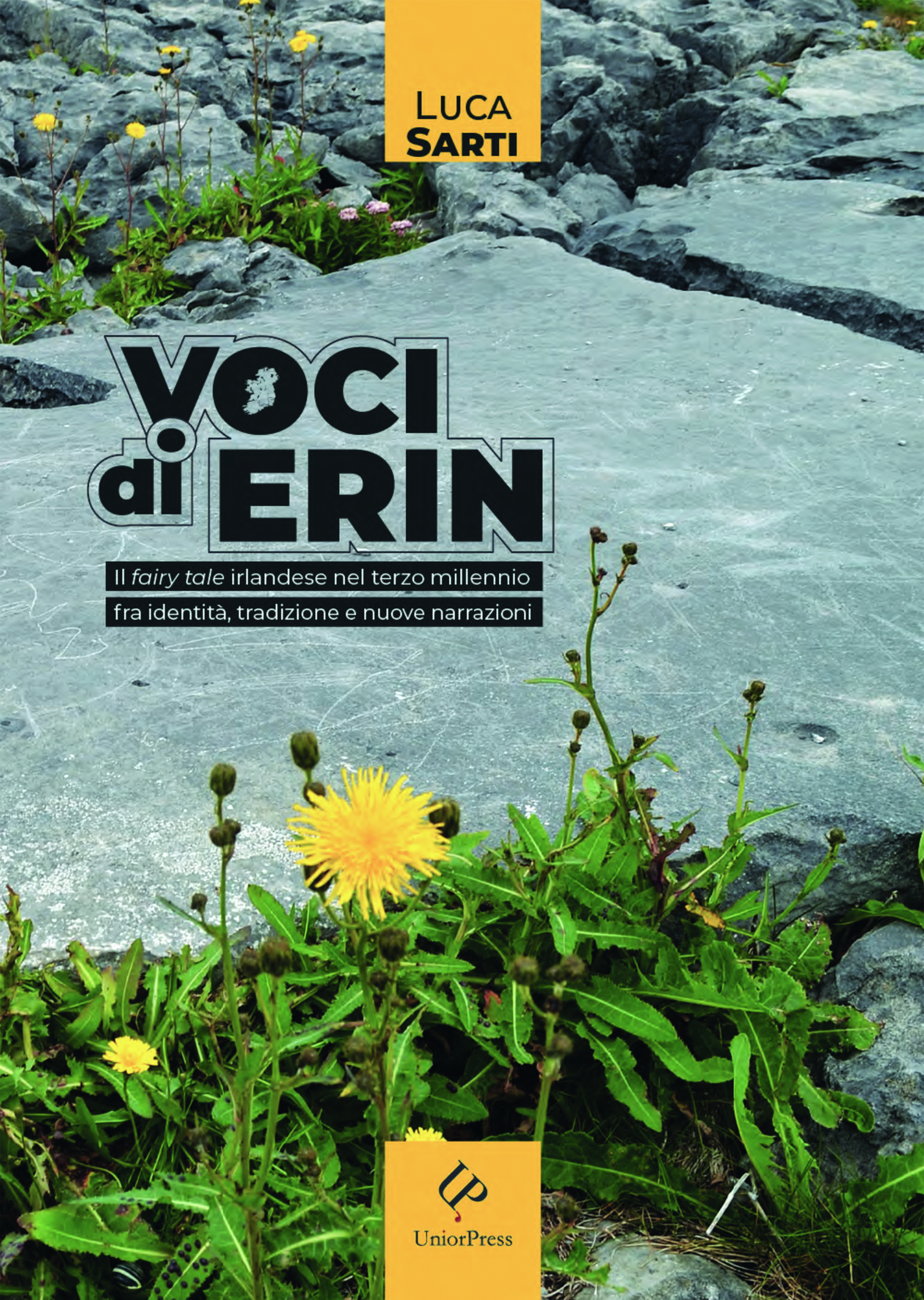 VOCI di ERIN