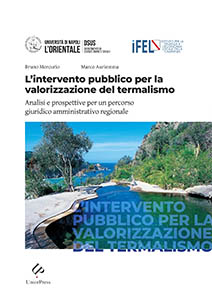 L'intervento pubblico