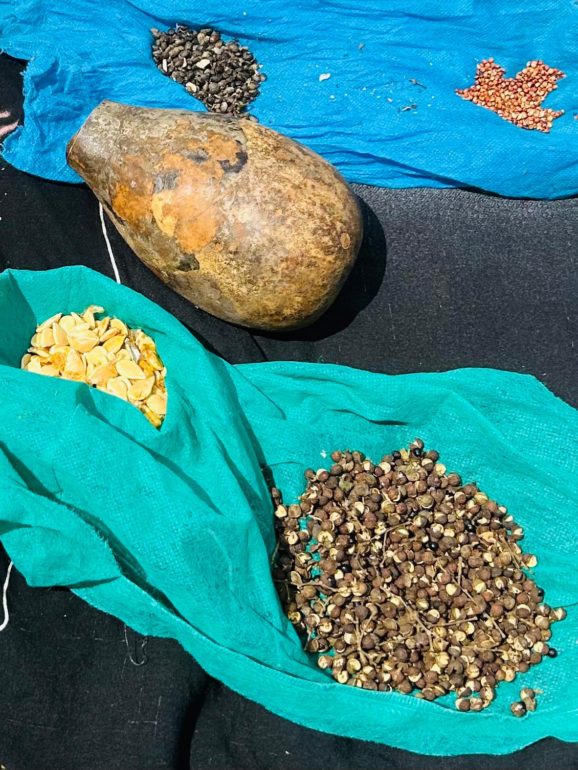 Donne protagoniste di un ‘ iniziativa di banca dei semi preziosi per la biodiversità