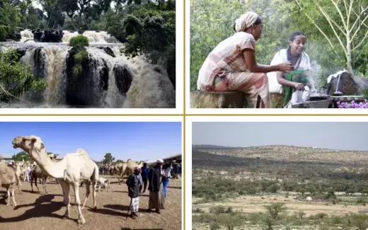 2° Hybrid meeting on cushitic Languages and Linguistics