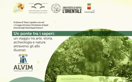 Screenshot 2025-04-30 alle 13.59.19.png Un ponte tra i saperi: un viaggio tra arte, storia, archeologia e natura attraverso gli albi illustrati