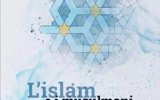 L'islam e i musulmani nell'Italia contemporanea. Studi e metodologie a confronto