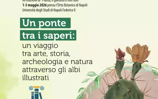 Un ponte tra i saperi: un viaggio tra arte, storia, archeologia e natura attraverso gli albi illustrati