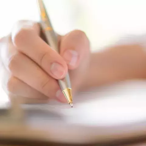 Dettaglio scrittura