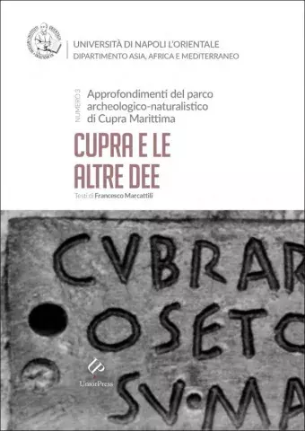 Cupra e le altre idee