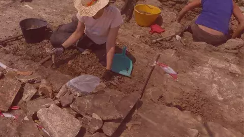 Ricerca