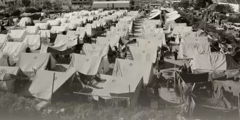 Giornate della Nakba: diritti, informazione, attualità