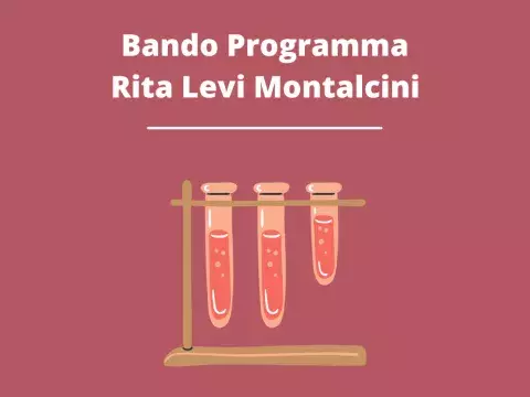 Bando Rita Levi Montalcini 2022-2024