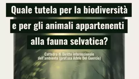 Seminario di studio: "Quale tutela per la biodiversità e per gli animali appartenenti alla fauna selvatica?"