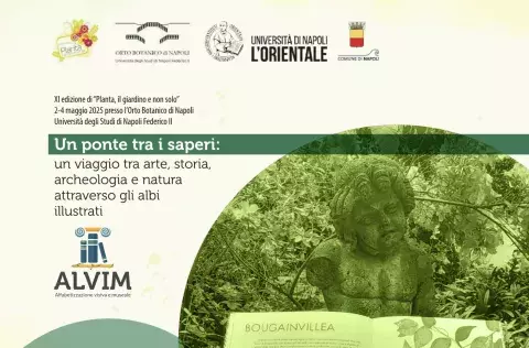 Un ponte tra i saperi: un viaggio tra arte, storia, archeologia e natura attraverso gli albi illustrati