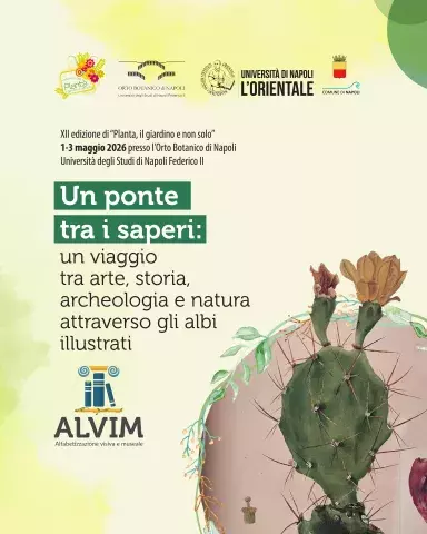 Un ponte tra i saperi: un viaggio tra arte, storia, archeologia e natura attraverso gli albi illustrati