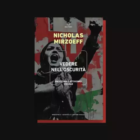 incontro con nicholas mirzoeff