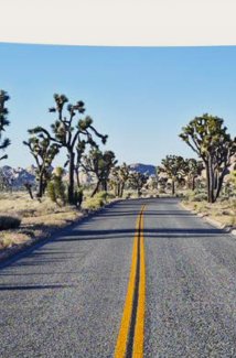 California Dreaming. Visions, Spaces, and Shadows from the Golden State.