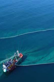 Banner - The sustainable management of Fisheries and biodiversity