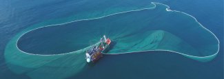 Banner - The sustainable management of Fisheries and biodiversity